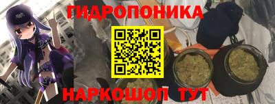PSILOCYBIN Лесосибирск