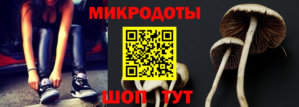 Камень-на-Оби  Галлюциногенные грибы Psilocybine cubensis  Вход с VPN  Галлюциногенные грибы мицелий 