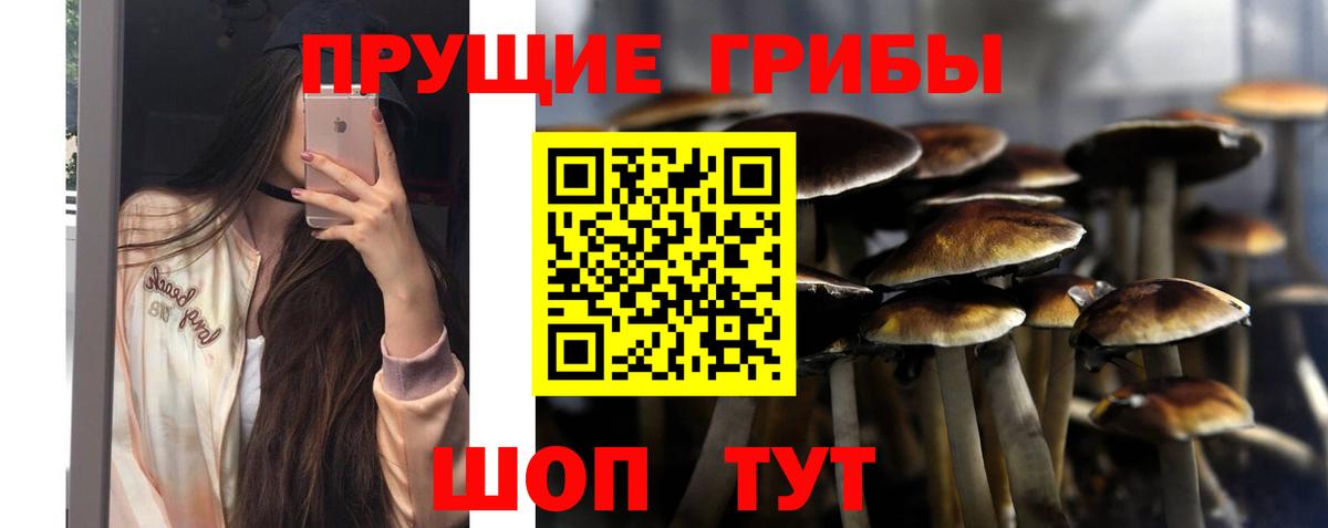Галлюциногенные грибы GOLDEN TEACHER Камень-на-Оби